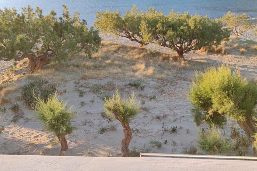 Aegean Dream House Villa Kamáresz Kültér fotó